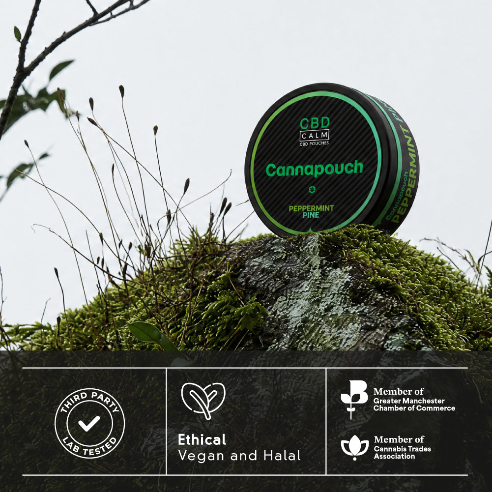 Cannapouch Super Lemon Haze CBD Pouches CBD Calm
